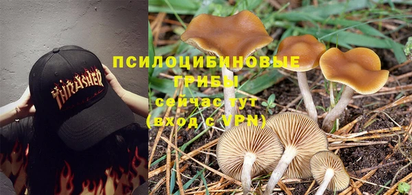 мяу мяу мука Баксан