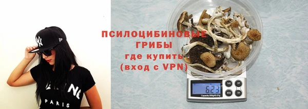 СК Балахна