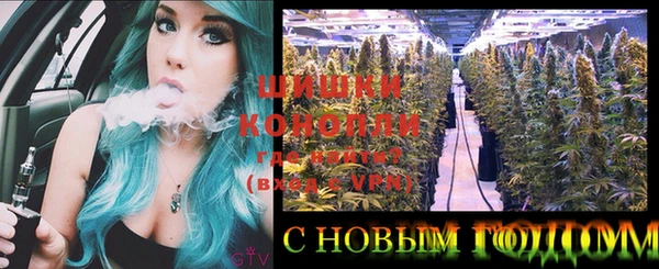 стафф Ельня